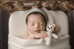 baby boy cream teddy bear ct newborn photo