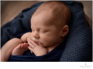 profile newborn baby boy photos ct lisa millerick picture