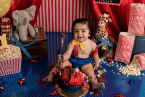circus cake photo session smash one year